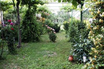 Фото номера Дом с 3 спальнями Дома для отпуска Guesthouse Planinsko Gnezdo г. Tŭzha 59