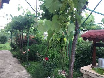 Фотографии Дома для отпуска Guesthouse Planinsko Gnezdo г. Tŭzha (Болгария) №4 Фото Дома для отпуска Guesthouse Planinsko Gnezdo г. Tŭzha 4