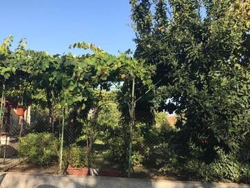 Фото номера Дом с 3 спальнями Дома для отпуска Guesthouse Planinsko Gnezdo г. Tŭzha 16