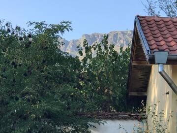 Фото номера Дом с 3 спальнями Дома для отпуска Guesthouse Planinsko Gnezdo г. Tŭzha 17